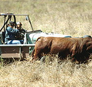 Bullo River Station - Grafton Accommodation