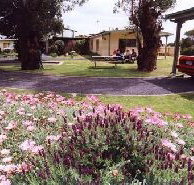 Brigadoon Holiday Units - Grafton Accommodation