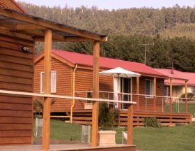 Maydena Country Cabins And Alpacas - Grafton Accommodation 0