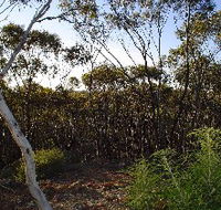Lions Dryandra Woodlands Village - Grafton Accommodation