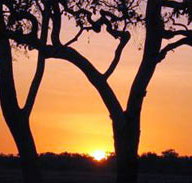 Coodardie Station Stay - Grafton Accommodation