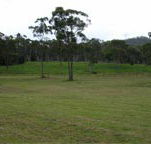 Mt White Lodge - Grafton Accommodation