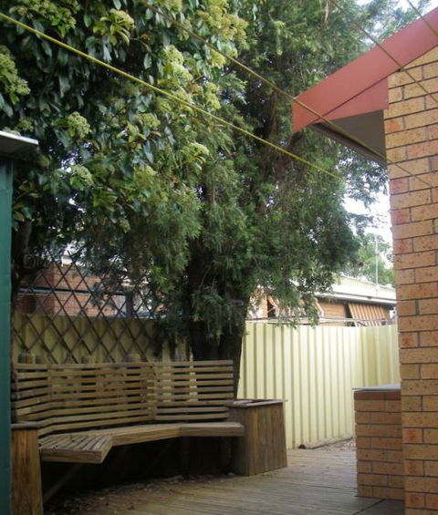 Szephora House - Grafton Accommodation 4