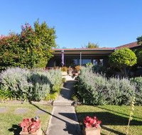 Dolphin Sands - Grafton Accommodation