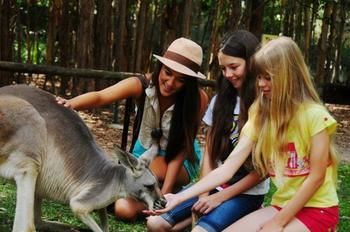 Pacific Horizons Resort - Grafton Accommodation 23
