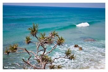 Pacific Horizons Resort - Grafton Accommodation 24