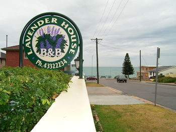 Lavender House B&B - Grafton Accommodation 18