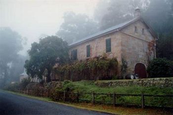 Tizzana Winery Bed & Breakfast - Grafton Accommodation 0