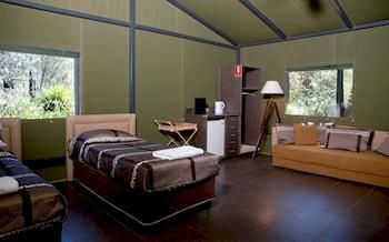 Zoofari Lodge, Taronga Western Plains Zoo - Grafton Accommodation 4
