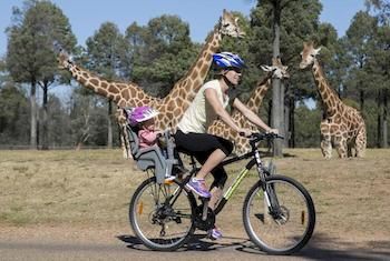 Zoofari Lodge, Taronga Western Plains Zoo - Grafton Accommodation 7