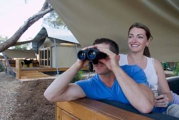 Zoofari Lodge, Taronga Western Plains Zoo - Grafton Accommodation 12