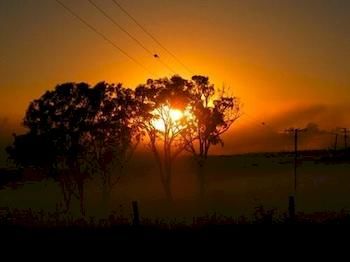 Lochinvar House B&B - Grafton Accommodation 2