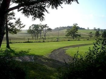 Lochinvar House B&B - Grafton Accommodation 8