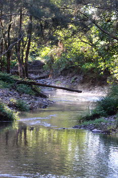 Yabbaloumba Retreat - Grafton Accommodation 5