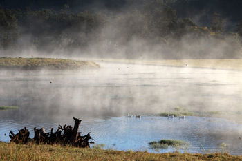 Yabbaloumba Retreat - Grafton Accommodation 16
