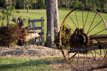 Yabbaloumba Retreat - Grafton Accommodation 24