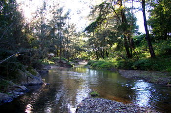 Yabbaloumba Retreat - Grafton Accommodation 25