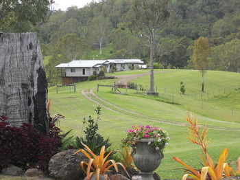 Yabbaloumba Retreat - Grafton Accommodation 26