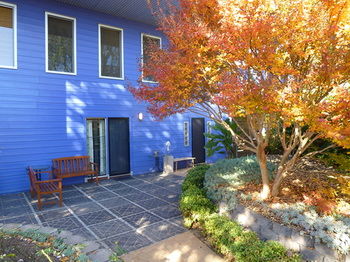 The Retreat At Froog-Moore Park - Grafton Accommodation 1