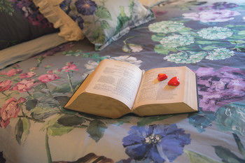 The Heart Of Emerald Bed & Breakfast - Grafton Accommodation 9