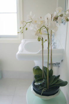 The Heart Of Emerald Bed & Breakfast - Grafton Accommodation 30