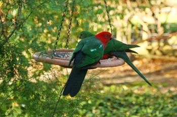 Glenview Retreat Luxury Bed & Breakfast - Grafton Accommodation 12