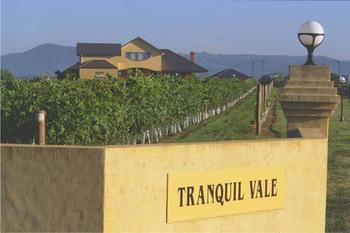 Tranquil Vale Vineyard & Cottages - Grafton Accommodation 0