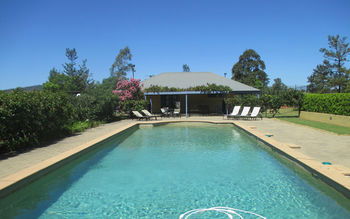 Tranquil Vale Vineyard & Cottages - Grafton Accommodation 14