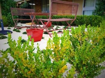 Best Western Sanctuary Inn - Grafton Accommodation 24