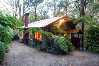 A Cottage In The Forest - Grafton Accommodation 3