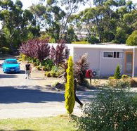 Barilla Holiday Park - Grafton Accommodation