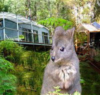 Huon Bush Retreats