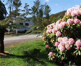Zeehan Bush Camp  And Caravan Park - Grafton Accommodation 0
