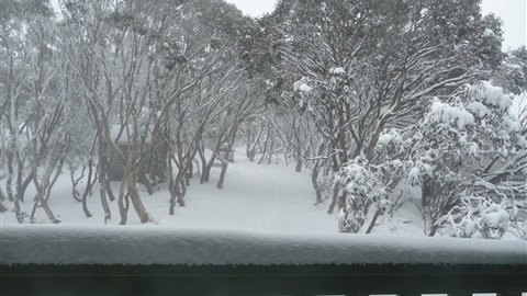 Leeton Lodge - Grafton Accommodation 6