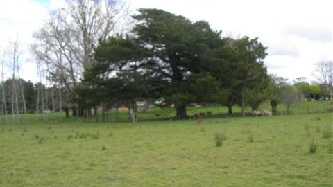 Auberge Woodend - Grafton Accommodation 3