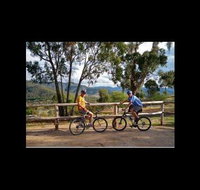 Howqua Valley Views - Grafton Accommodation