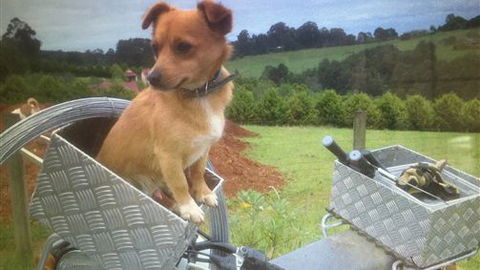 Farm Accommodation - Grafton Accommodation 1