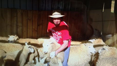 Farm Accommodation - Grafton Accommodation 2