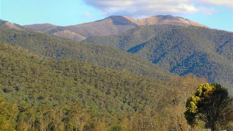 Mountain View Retreat - Grafton Accommodation 4