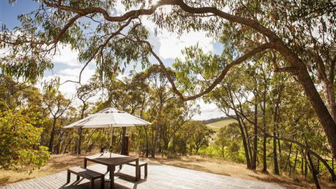 The Eagles Nest - Grafton Accommodation 6