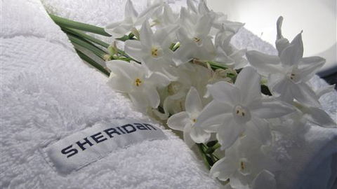 Maydays - Grafton Accommodation 1