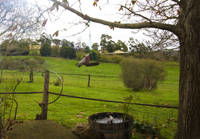 Amble Fern Studio - Grafton Accommodation 1
