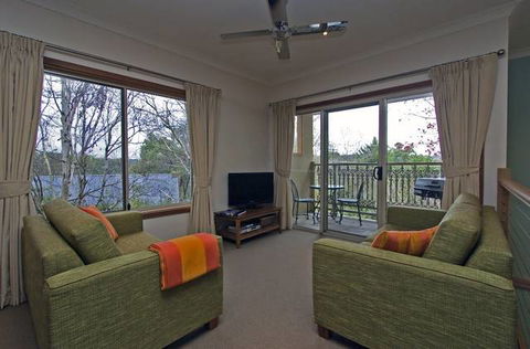 Amble Fern Studio - Grafton Accommodation 2