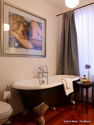 Andre's Mews - Grafton Accommodation 8