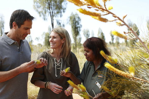 Ayers Rock Campground - Grafton Accommodation 2