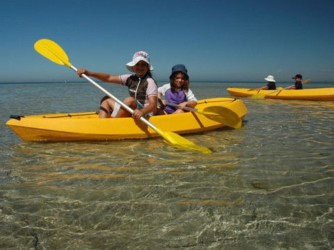 Ceduna Shelly Beach Caravan Park - Grafton Accommodation 4