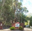 Murraybank Caravan  Camping Park - Grafton Accommodation