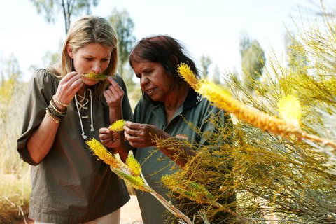 Outback Pioneer Hotel - Grafton Accommodation 6