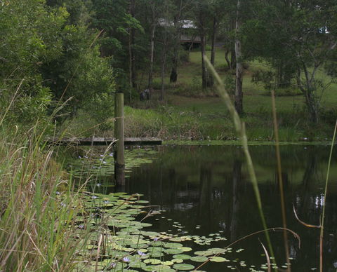 Maleny Country Cottages - Grafton Accommodation 4