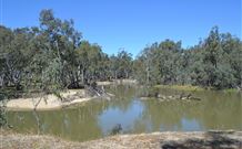 4 Post Recreation Park - Grafton Accommodation 0